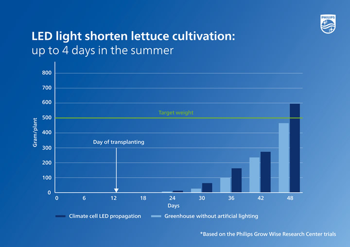 A graph of growth and lightDescription automatically generated with medium confidence